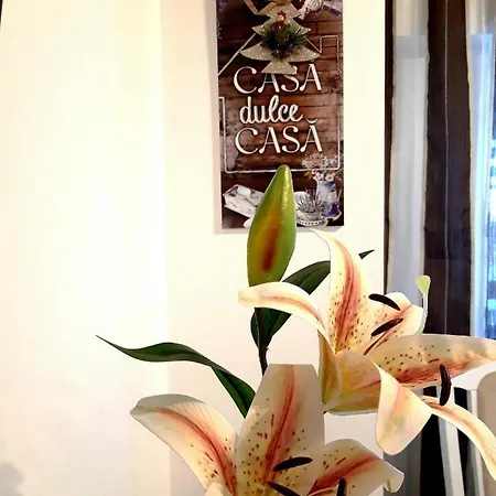 Appartement 70m² 2 Slaapkamer, 1 Privé Badkamer In Astra Braşov