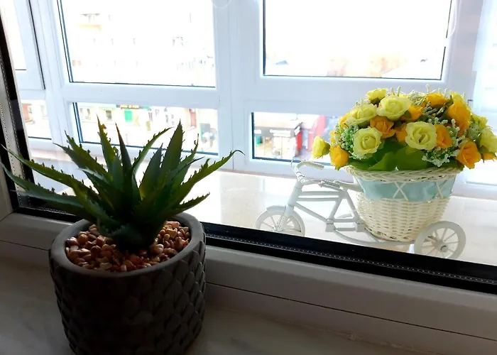 Fleur De Lys * Brasov