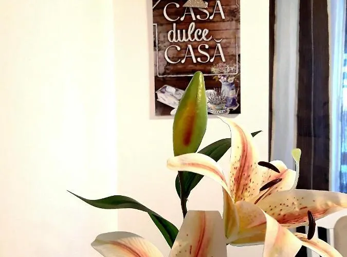 Apartament Fleur De Lys Brașov